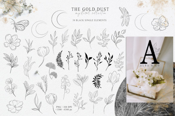 Botanical Line Art Clipart. Floral Set: Elevating Design with Minimalist Elegance