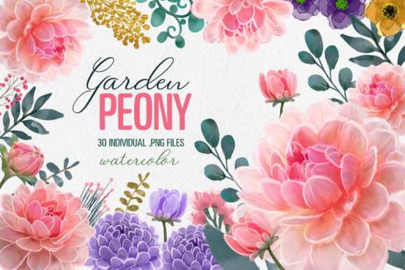 Peony Floral Watercolor 30 PNG: Elegant Design Assets