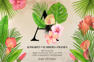 Tropical Graphic Letters and Floral Frames for Design